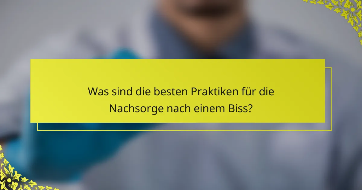 Was sind die besten Praktiken für die Nachsorge nach einem Biss?