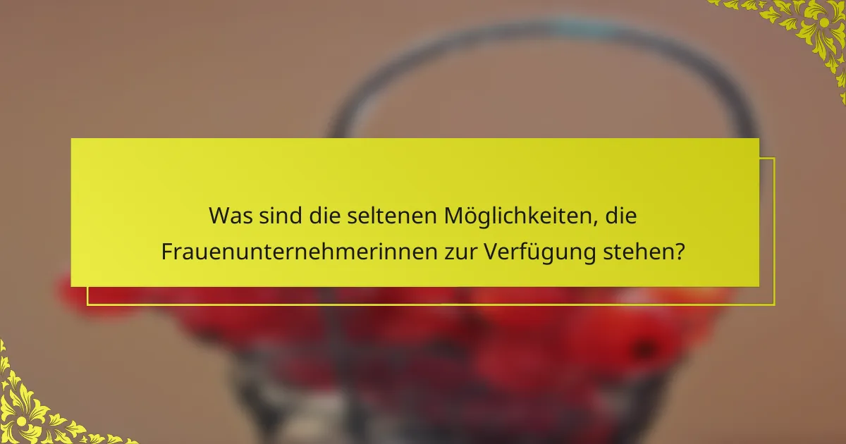 Was sind die seltenen Möglichkeiten, die Frauenunternehmerinnen zur Verfügung stehen?