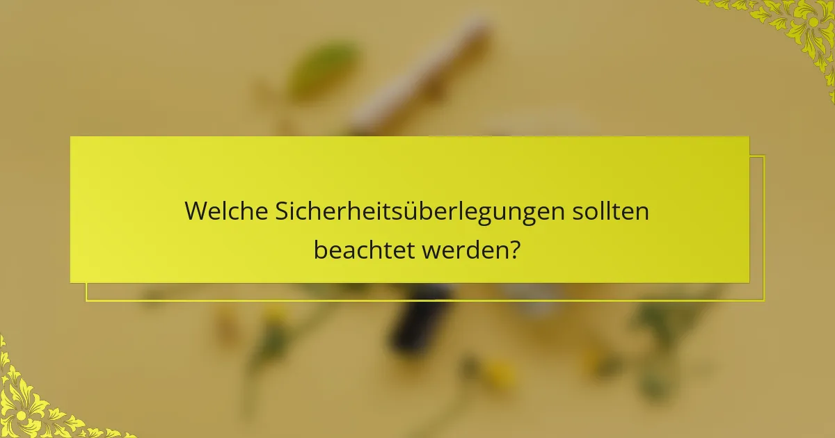 Welche Sicherheitsüberlegungen sollten beachtet werden?
